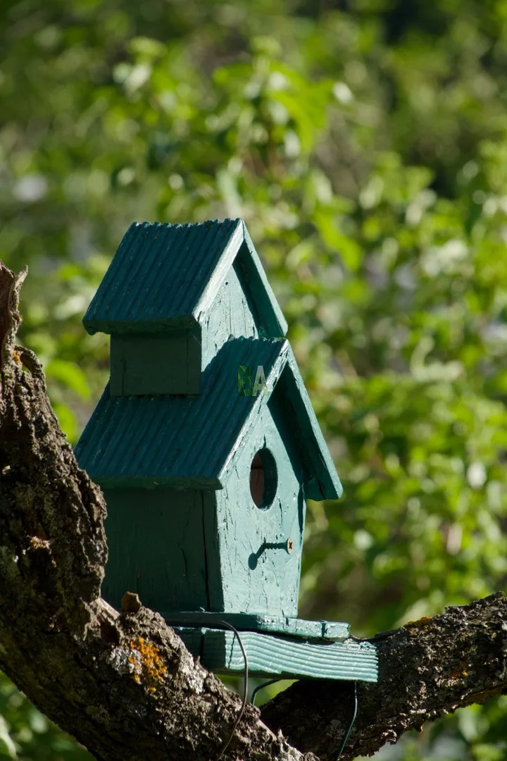 Nichoir à oiseaux du potager