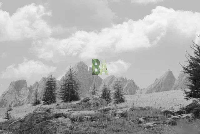 Paysage alpin bucolique en noir et blanc