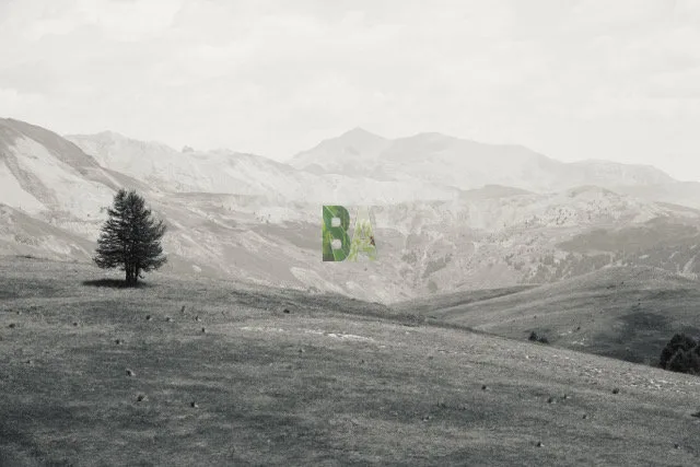 Prairie alpine du sud avec un arbre isolé sur fond de paysage de vallée