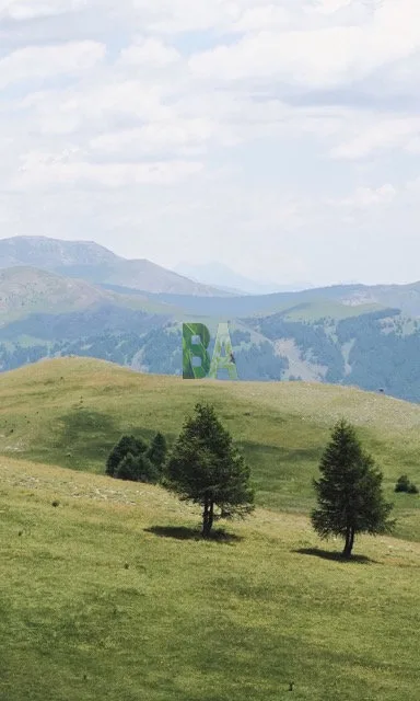 Prairie alpine verdoyante en trois plans successifs