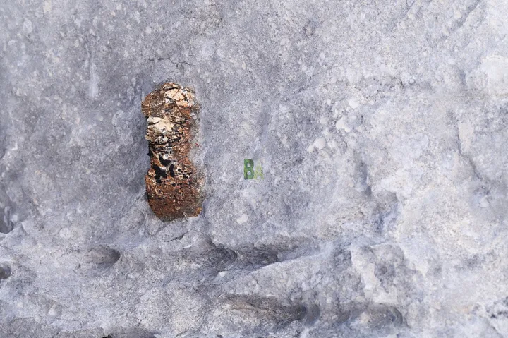 Pins xénolite